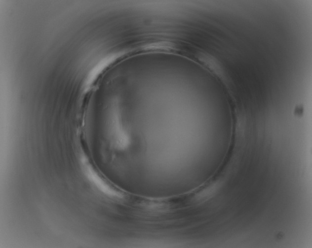 X0000114170941200910151634