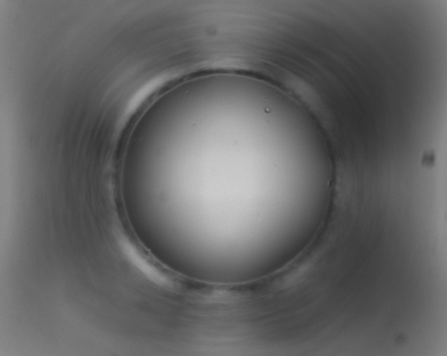 X0000114170942200910151634
