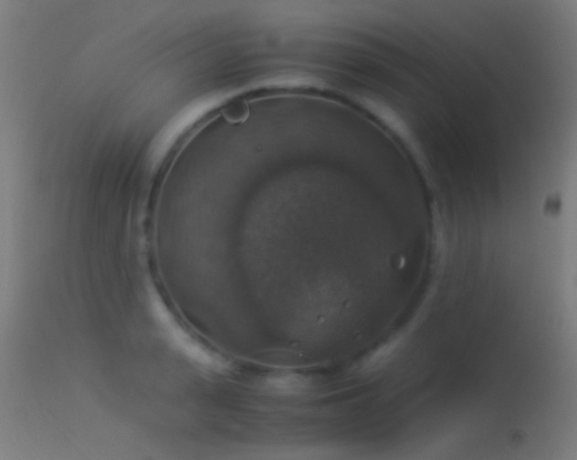 X0000114170943200910151634