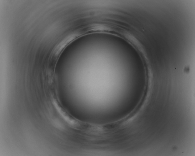 X0000114170945200910151634
