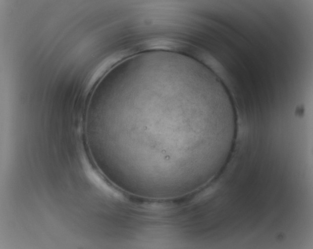 X0000114170946200910151634