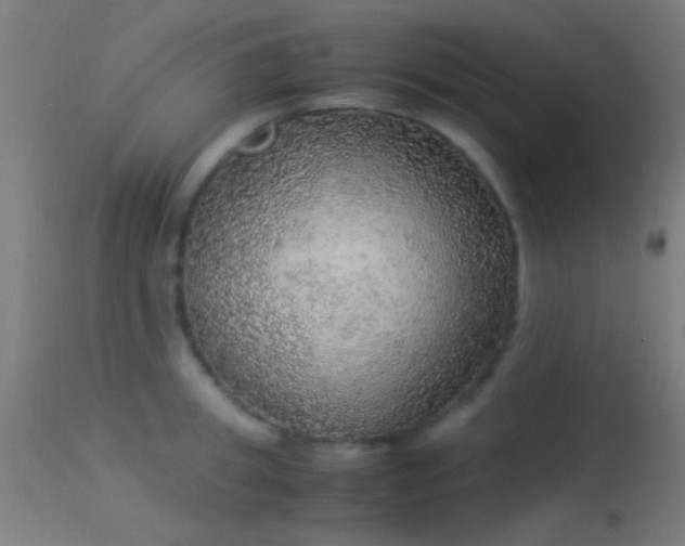 X0000114170949200910151634