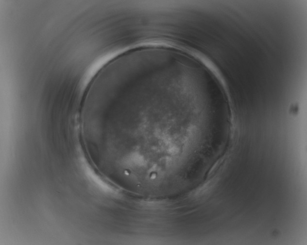 X0000114170951200910151634