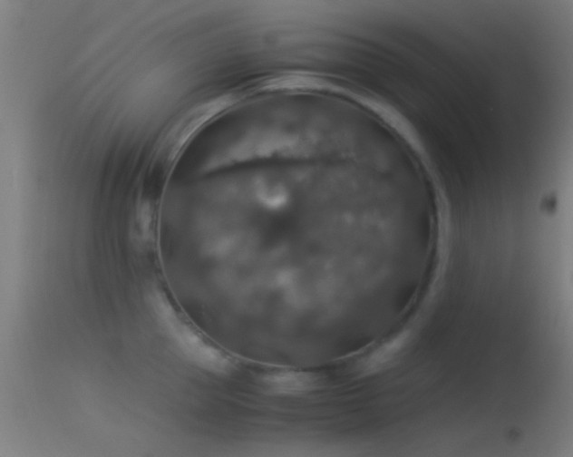 X0000114170953200910151634