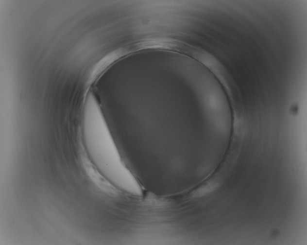X0000114170954200910151634