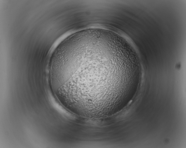 X0000114170955200910151634
