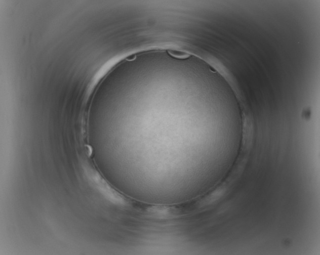 X0000114170956200910151634