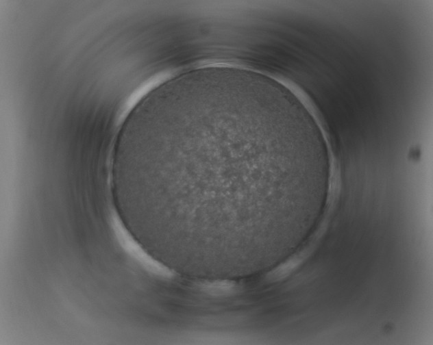 X0000114170957200910151634