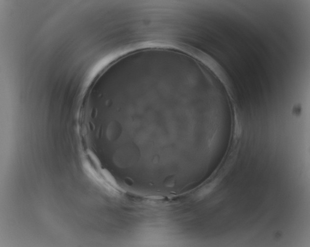 X0000114170958200910151634