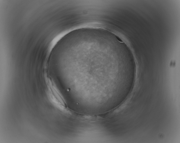 X0000114170960200910151634