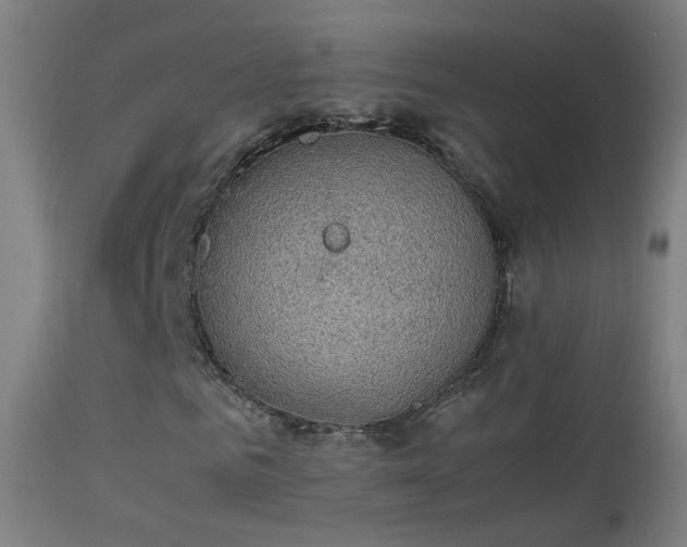 X0000114170961200910151633