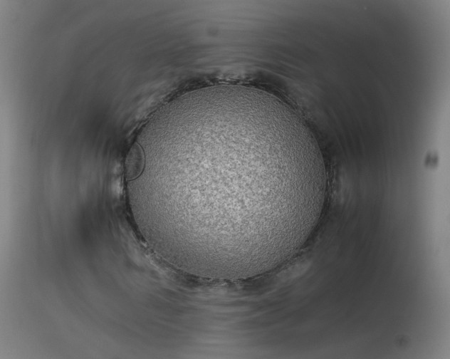 X0000114170962200910151633