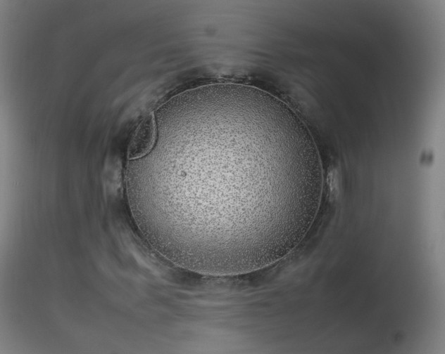 X0000114170963200910151633