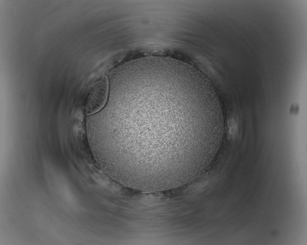X0000114170964200910151633
