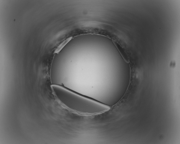 X0000114170965200910151633