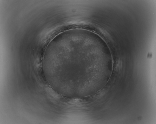 X0000114170966200910151633