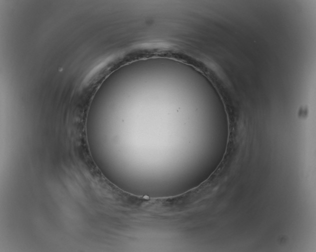 X0000114170967200910151633