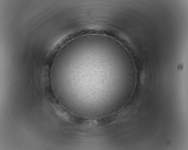 X0000114170968200910151633