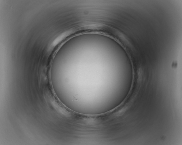 X0000114170970200910151633