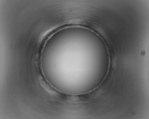 X0000114170971200910151633