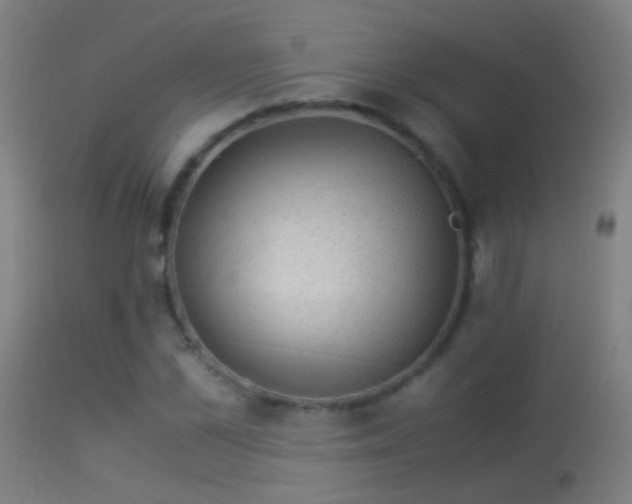 X0000114170973200910151633