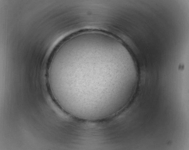 X0000114170976200910151633