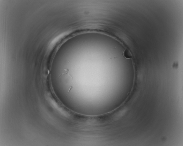 X0000114170979200910151633