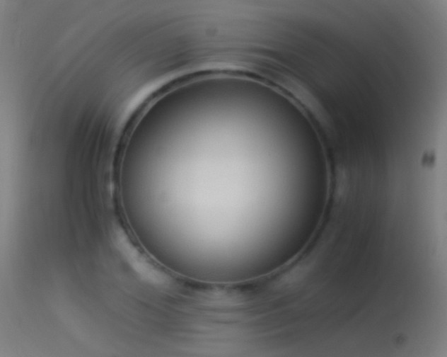 X0000114170980200910151633