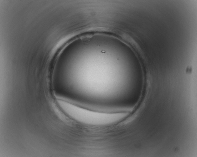 X0000114170981200910151633