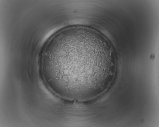 X0000114170983200910151633