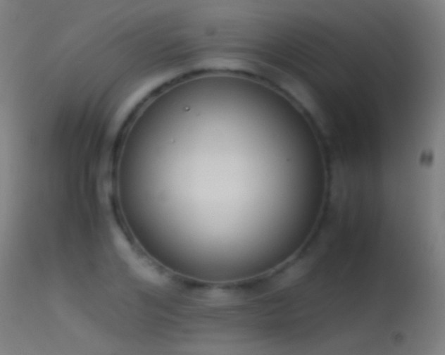 X0000114170984200910151633