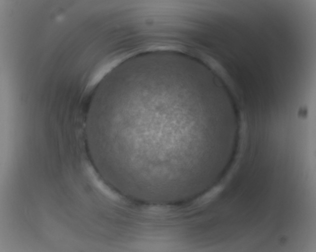 X0000114170985200910151633