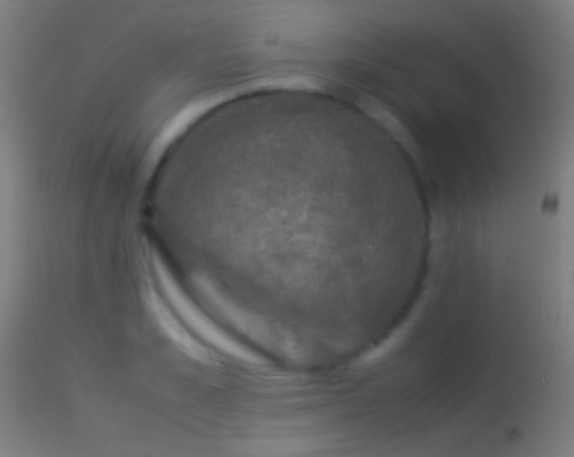 X0000114170989200910151633