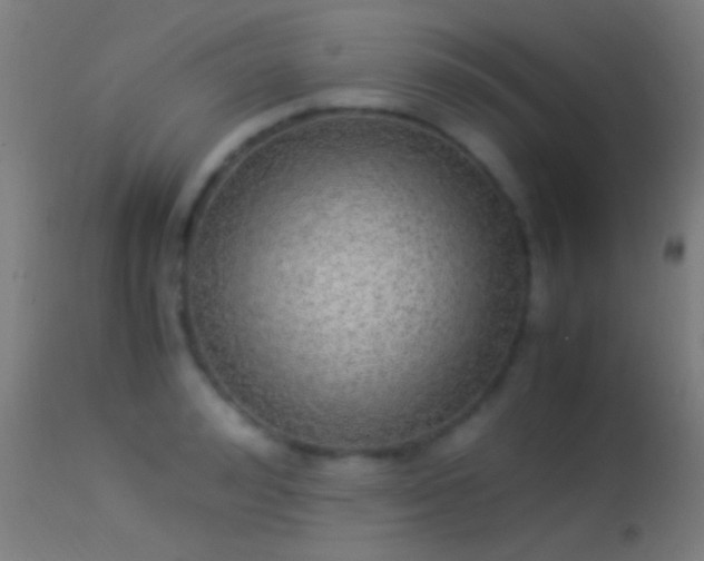 X0000114170992200910151633