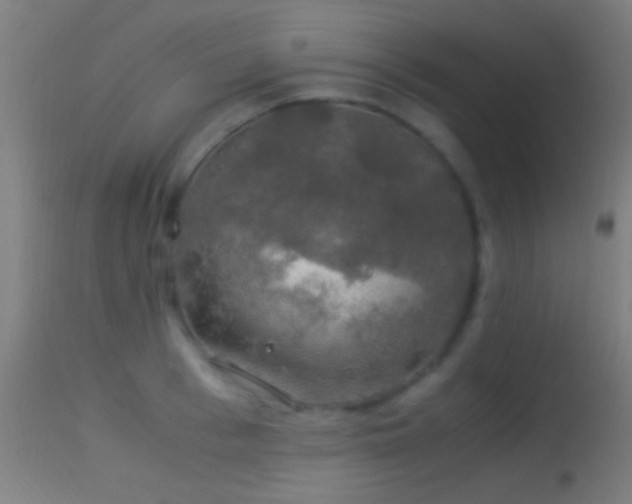 X0000114170993200910151633