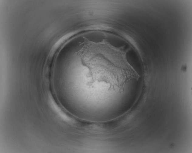 X0000114170995200910151633