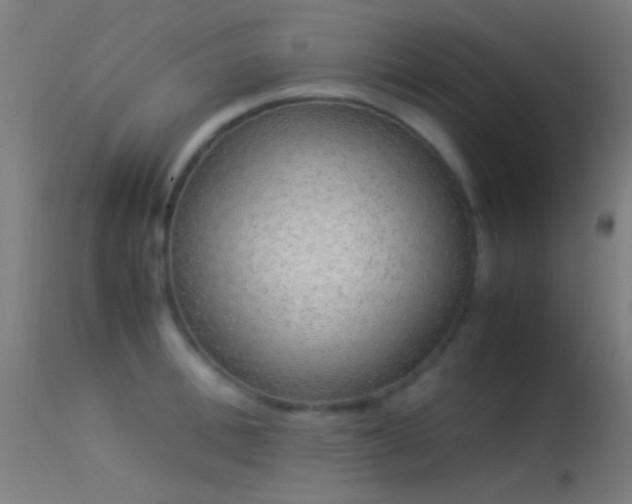 X0000114170996200910151633