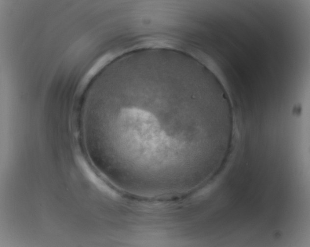 X0000114170997200910151633