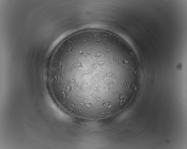 X0000114170999200910151633