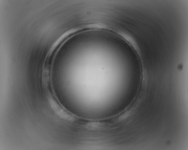 X0000114171000200910151633