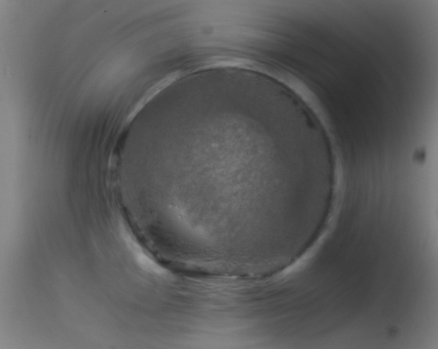 X0000114171001200910151633
