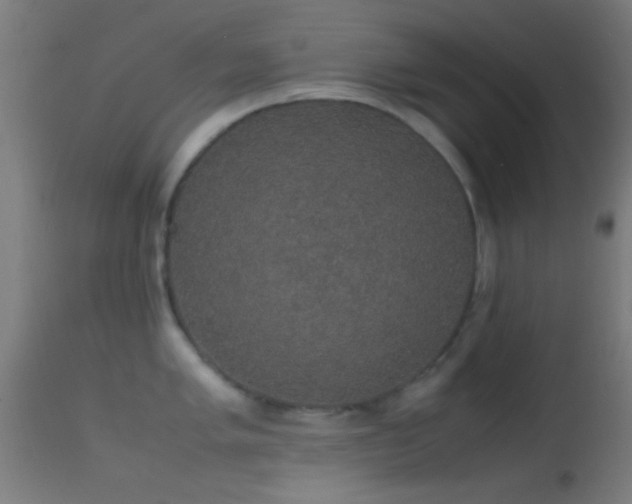 X0000114171005200910151632