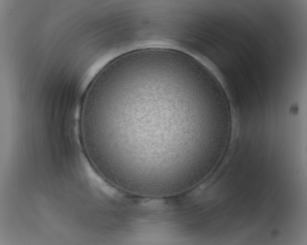 X0000114171006200910151632