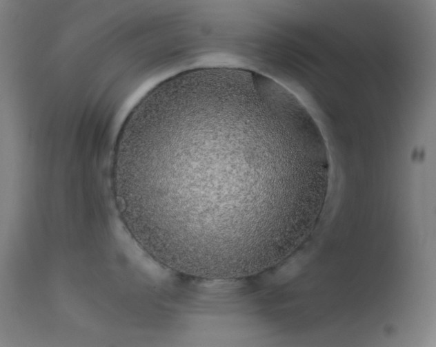 X0000114171008200910151632