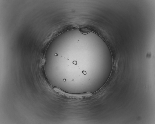 X0000114171012200910151632