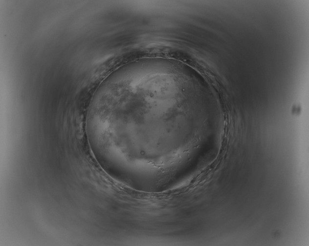 X0000114171013200910151632