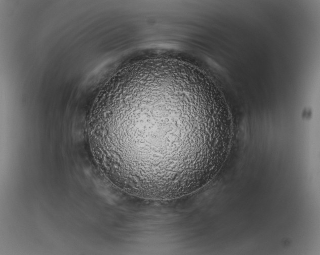 X0000114171014200910151632