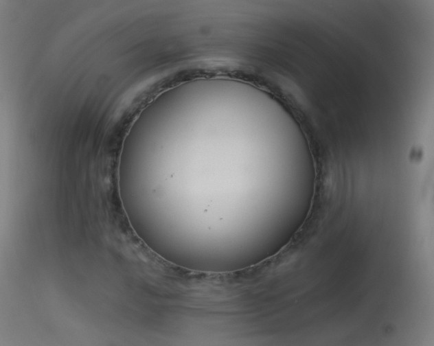 X0000114171016200910151632