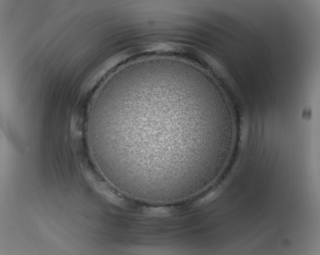 X0000114171017200910151632