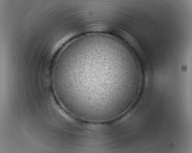 X0000114171018200910151632